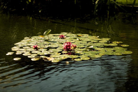 University House - ANU - Tourism Cairns 17
