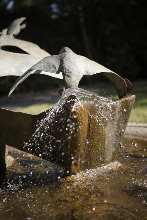 University House - ANU - Tourism Cairns 30