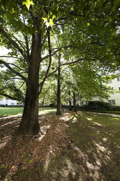 University House - ANU - Tourism Cairns 28