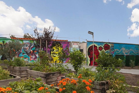 Canberra Luxury Apartment 3 - Tourism Cairns 13