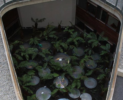 Canberra Luxury Apartment 3 - Tourism Cairns 32