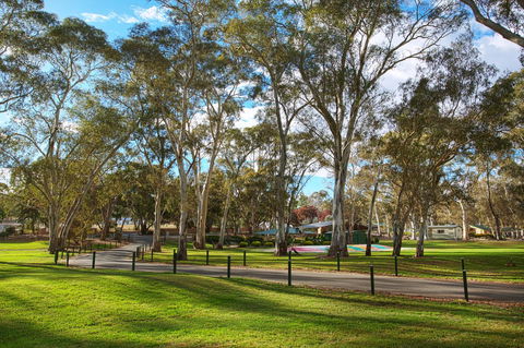Discovery Parks - Clare - Tourism Cairns 19