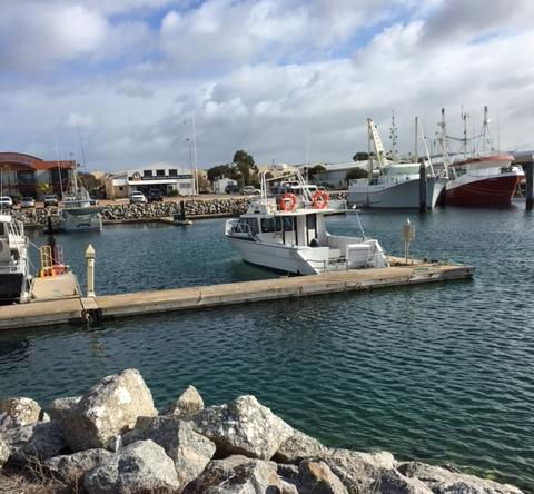 Port Lincoln Shark Apartment 1 - Tourism Cairns 14