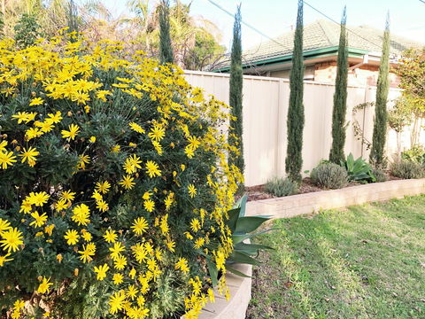 Beautiful Garden House - Tourism Cairns 2