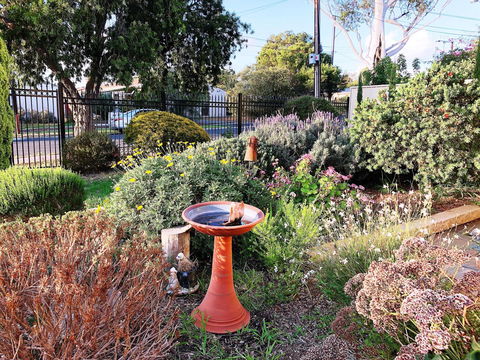 Beautiful Garden House - Tourism Cairns 21