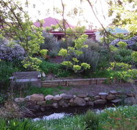 Frog Song at Willunga - Tourism Cairns