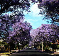 Monaco Court Apartment Adelaide - Tourism Cairns