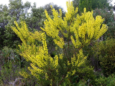 Kestrel Downs - Tourism Cairns 26