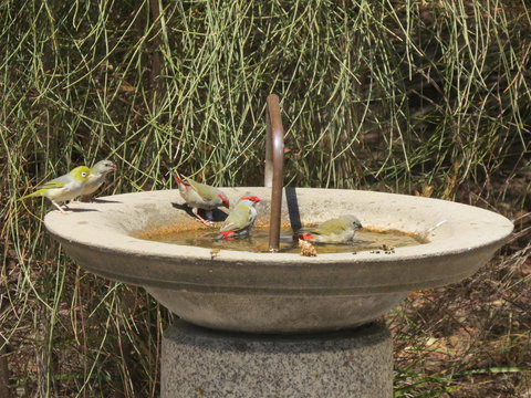 Kestrel Downs - Tourism Cairns 24