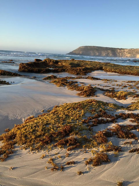 Kestrel Downs - Tourism Cairns 34