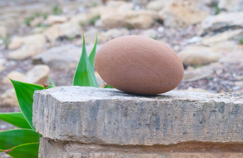 Kestrel Downs - Tourism Cairns 30