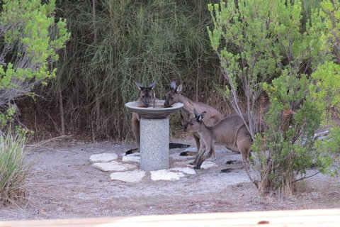 Kestrel Downs - Tourism Cairns 23