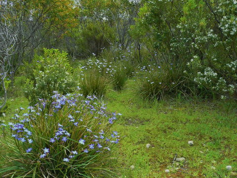 Kestrel Downs - Tourism Cairns 32