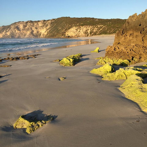 Kestrel Downs - Tourism Cairns 36