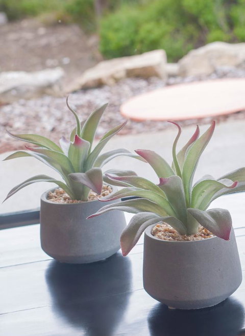 Kestrel Downs - Tourism Cairns 13