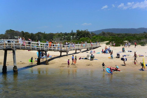 Bellhaven 1, 17 Willow Street - Tourism Cairns 7