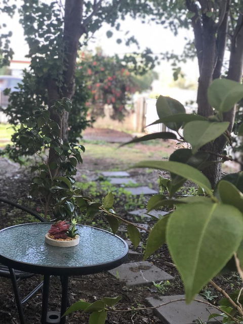 Olive\'s Cottage - Tourism Cairns 2