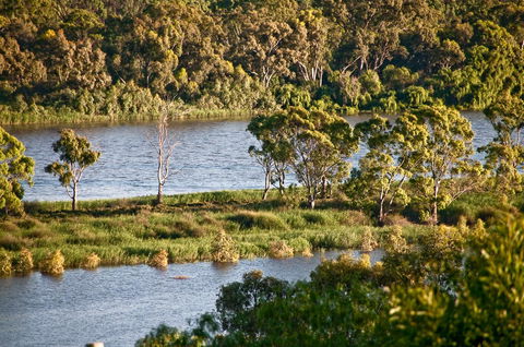 Riverview Rise Retreats - Tourism Cairns 25