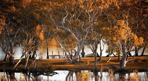 Riverview Rise Retreats - Tourism Cairns 4
