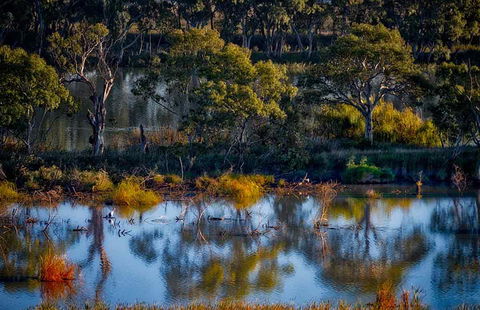 Riverview Rise Retreats - Tourism Cairns 7