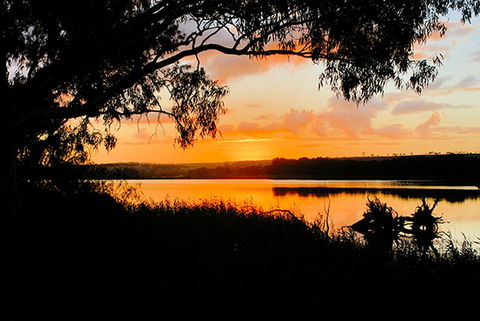 Riverview Rise Retreats - Tourism Cairns 12