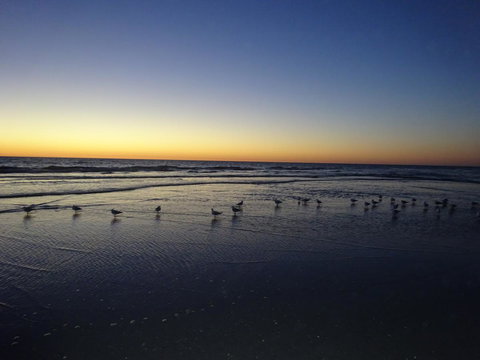 Selene Holiday Apartment @West Beach - Tourism Cairns 6