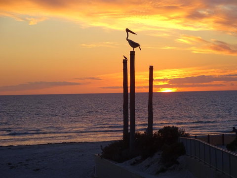 Selene Holiday Apartment @West Beach - Tourism Cairns 2