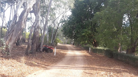 Taralee Orchards - Tourism Cairns 4