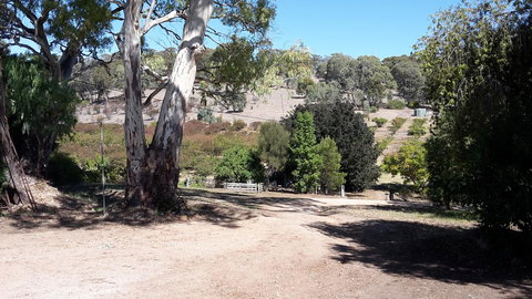 Taralee Orchards - Tourism Cairns 3