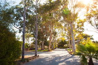 Book Tumby Bay Accommodation Vacations Tourism Cairns Tourism Cairns