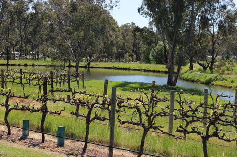 OXENBERRY FARM - Tourism Cairns 19