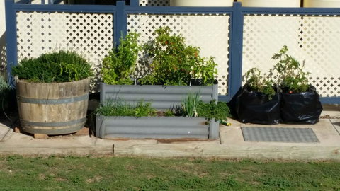 BIG4 Ceduna Tourist Park - Tourism Cairns 30