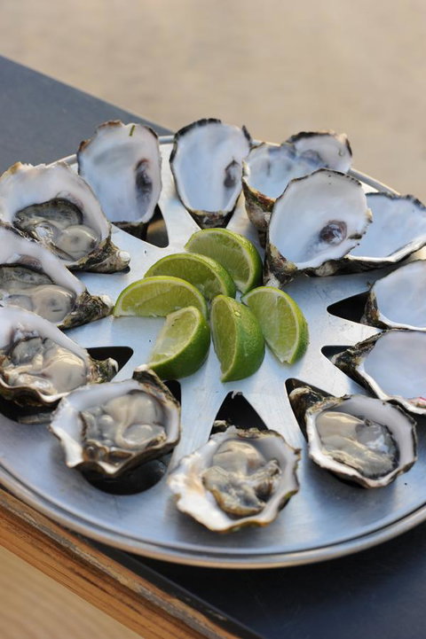 BIG4 Ceduna Tourist Park - Tourism Cairns 41