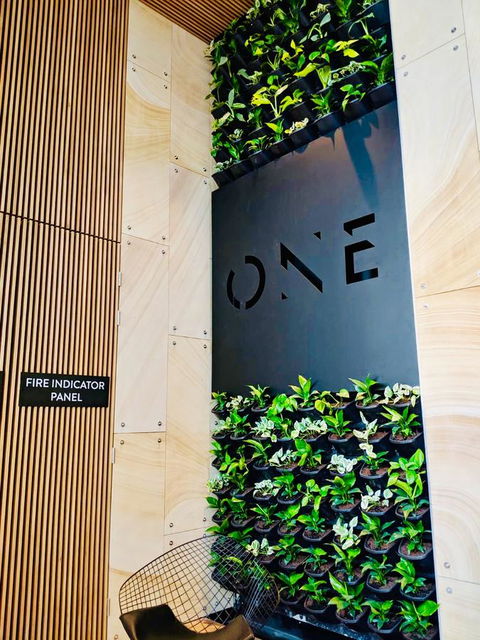 ONE Adelaide CBD - Tourism Cairns 5