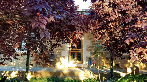 D2 At Watervale - Tourism Cairns 2