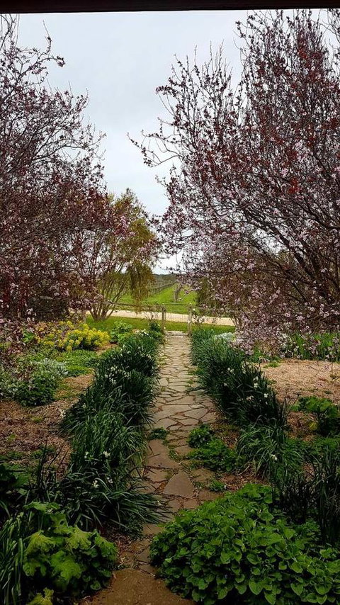 D2 At Watervale - Tourism Cairns 4