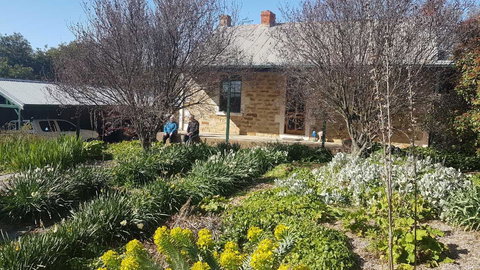 D2 At Watervale - Tourism Cairns 1