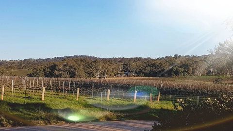 D2 At Watervale - Tourism Cairns 23