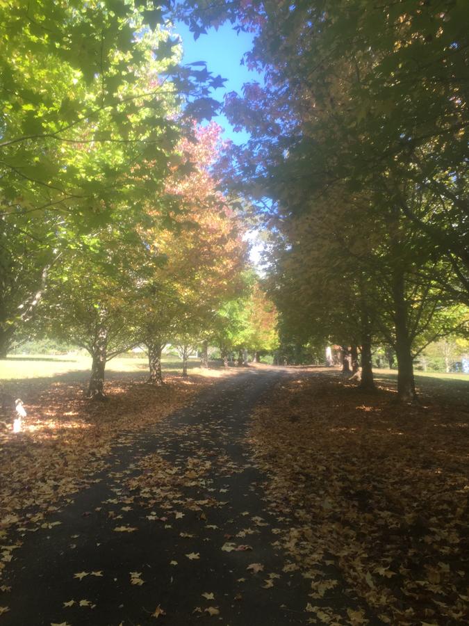 Bonville NSW Tourism Cairns