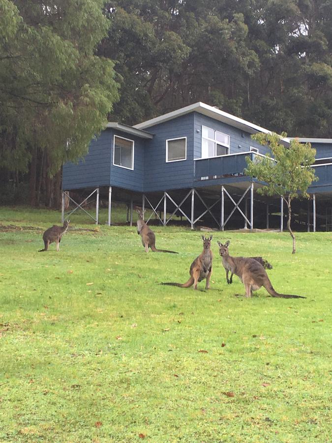 Trent WA Tourism Cairns