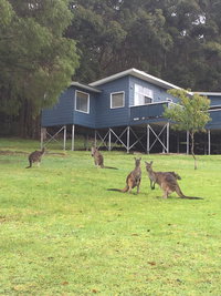 Book Denmark Accommodation Vacations Tourism Cairns Tourism Cairns