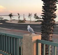 Shark Bay Seafront Apartments - Tourism Cairns