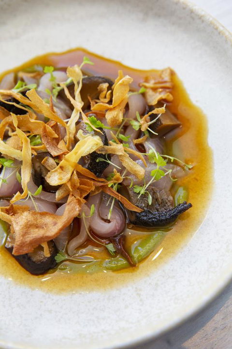 Pan Pacific Perth - Tourism Cairns 1