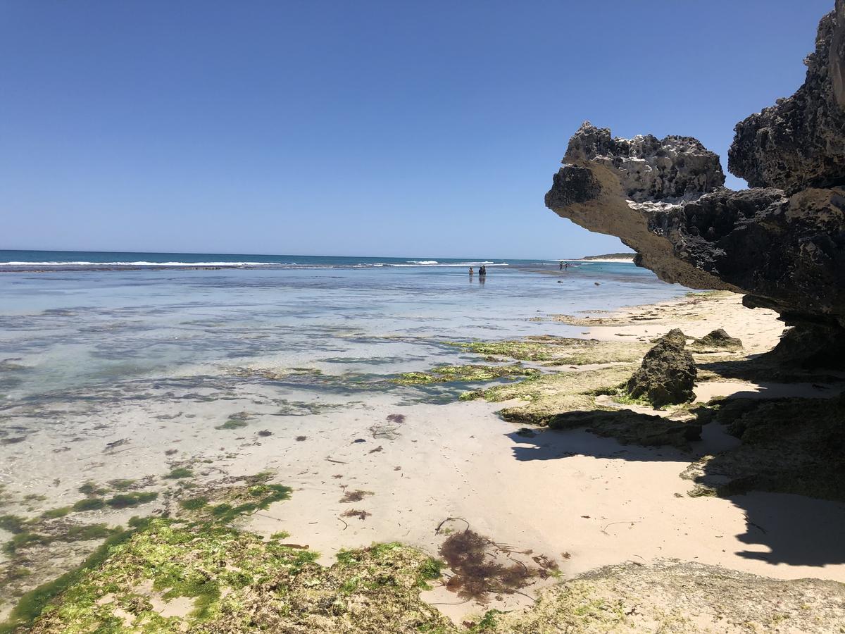 Yanchep WA Tourism Cairns