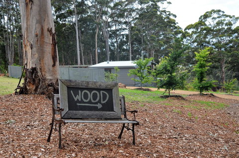 The Floating Forest - Tourism Cairns 11