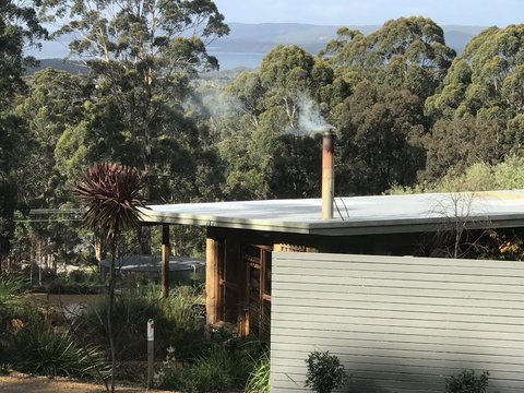 The Floating Forest - Tourism Cairns 4