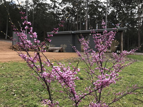 The Floating Forest - Tourism Cairns 15