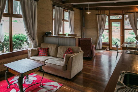 The Floating Forest - Tourism Cairns 26