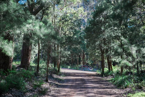 The Floating Forest - Tourism Cairns 30