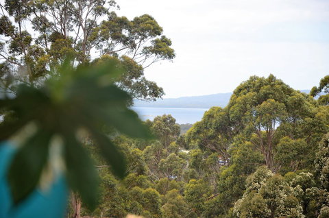 The Floating Forest - Tourism Cairns 8